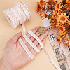DELORIGIN 10 Yards Velvet Ribbons OCOR-DR0001-10A-3