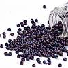 TOHO Round Seed Beads SEED-XTR11-0704-1