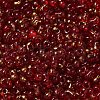 Spray Painted Glass Seed Beads SEED-F005-11A-04-3