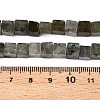 Natural Labradorite Beads Strands G-T139-6x6-19A-5