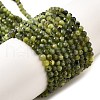 Natural Canadian Jade Beads Strands G-G259-D01-3mm-2