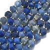 Natural Blue Aventurine(Dyed & Heated) Beads Strands G-I376-A67-01-2