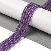 Natural Amethyst Beads Strands G-B090-A22-03-2
