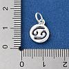 925 Sterling Silver Constellations Charms STER-M118-01J-3