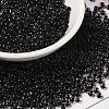 6/0 Transparent Glass Seed Beads SEED-F003-03A-08-1