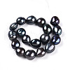 Natural Cultured Freshwater Pearl Beads Strands PEAR-N014-09A-04-2