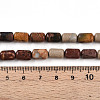 Natural Picasso Jasper/Polychrome Jasper Beads Strands G-N346-01B-05-5