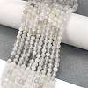 Natural White Moonstone Beads Strands G-Z058-A01-01-1