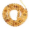 Natural Amber Beads Strands G-K387-D02-03-2