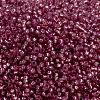 MIYUKI Round Rocailles Beads X-SEED-G009-RR0645-4