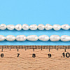 Natural Cultured Freshwater Pearl Beads Strands PEAR-N012-04W-6