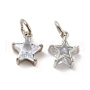 Rack Plating Brass Clear Cubic Zirconia Pendants KK-E081-03P-1