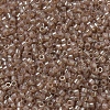 MIYUKI Delica Beads SEED-X0054-DB0102-3