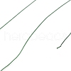 Baking Painted Iron Wire MW-NH0001-05A-2