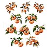 10Pcs Fruit PET Self-Adhesive Stickers DIY-K074-08F-2