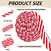 Polyester Twill Striped Piping Ribbon FIND-WH0424-03B-2