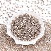 Glass Seed Beads SEED-N007-01J-2