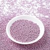 MIYUKI Round Rocailles Beads SEED-G007-RR1061-3