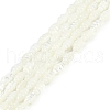 Natural Freshwater Shell Beads Strands BSHE-H109-02-1