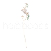 Glass Seeds Beads GLAA-K060-05G-04-3
