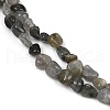 Natural Labradorite Beads Strands G-Q060-D02-4