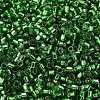 Glass Seed Beads SEED-S042-04B-26-3