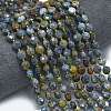 Natural Dumortierite Beads Strands G-K389-B50-01-2