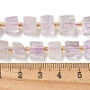 Natural Amethyst Beads Strands G-G053-B13-01B-5