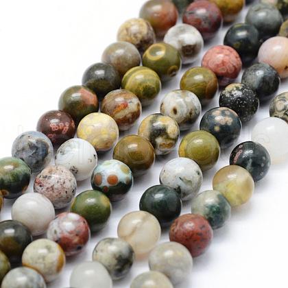 Natural Ocean Jasper Beads Strands G-P326-06-6mm-1