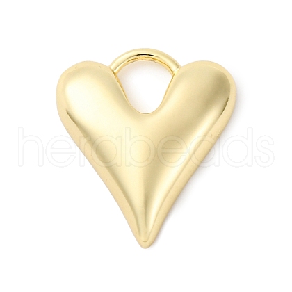 Brass Charms KK-F895-04G-1