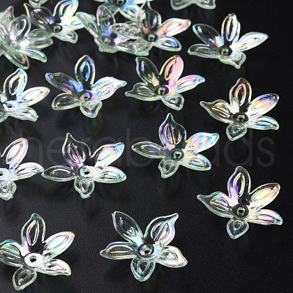 Transparent Acrylic Beads MACR-S373-102-C04-1