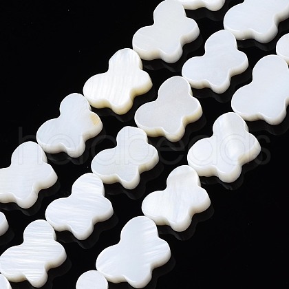Natural Freshwater Shell Beads Strands SHEL-T009-A17-01-1