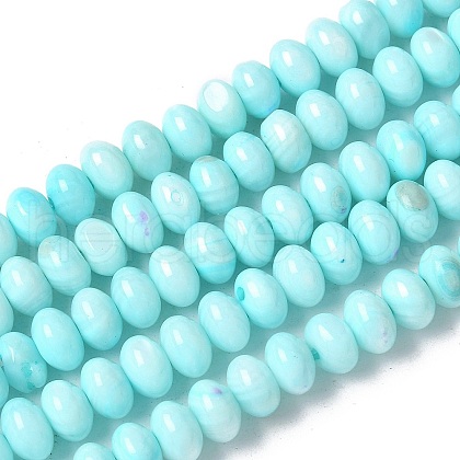 Natural Freshwater Shell Beads Strands SSHEL-C013-07B-1