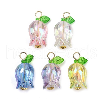 Acrylic Pendants PALLOY-JF03534-01-1