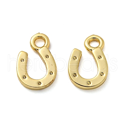 Rack Plating Brass Charms KK-Z045-09G-1
