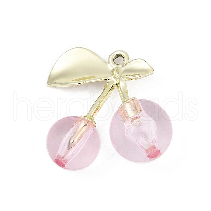 Alloy & Acrylic Pendants PALLOY-S053-01LG-B-1