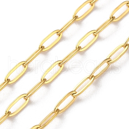 304 Stainless Steel Paperclip Chains CHS-R020-06G-02-1