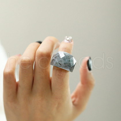 Fashionable 304 Stainless Steel & Natural Labradorite Finger Rings FS-WG90577-33-1
