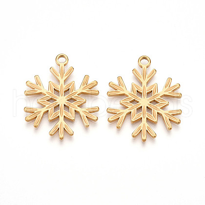 304 Stainless Steel Pendants STAS-N109-97G-1