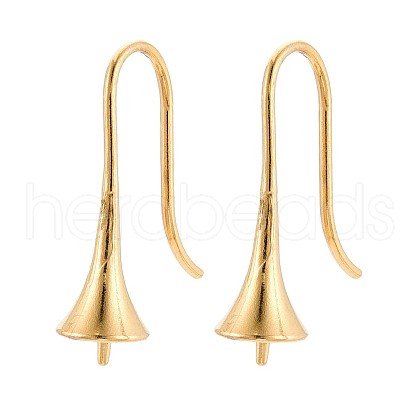 Ion Plating(IP) 304 Stainless Steel Earring Hooks STAS-N108-30G-1