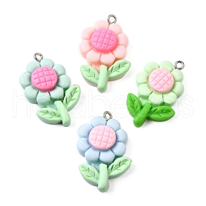 Resin Pendants FIND-U031-10P-1