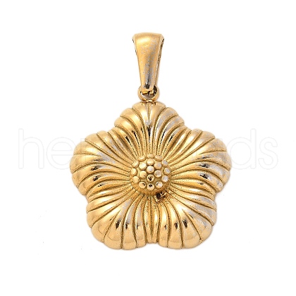 304 Stainless Steel Pendants STAS-Q349-01B-G-1
