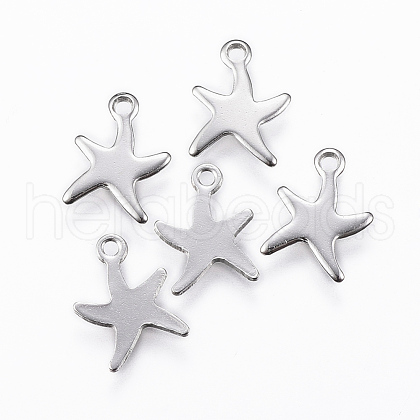 304 Stainless Steel Charms X-STAS-K154-22P-1
