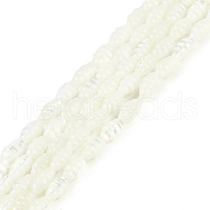 Natural Freshwater Shell Beads Strands BSHE-H109-02-1