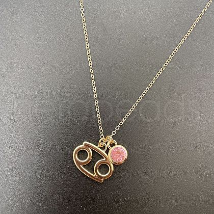 Alloy Light Rose Rhinestone Constellation Pendant Necklaces for Women Men WG398AA-06-1