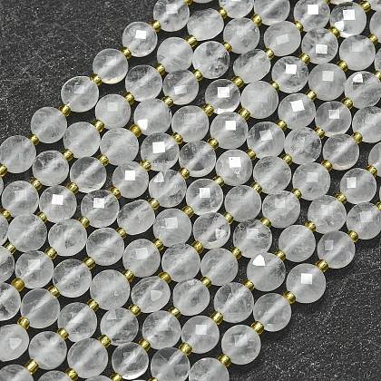Natural Quartz Crystal Beads Strands G-K389-B62-01-1
