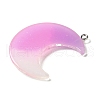 Gradient Color Translucent Resin Pendants FIND-Z006-03E-2