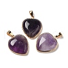 Natural Amethyst Pendants G-K335-04G-17-1