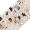 Natural Dendritic Agate Beads Strands G-D845-04-10mm-2