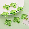 Transparent Acrylic Pendants TACR-T024-01B-925-6